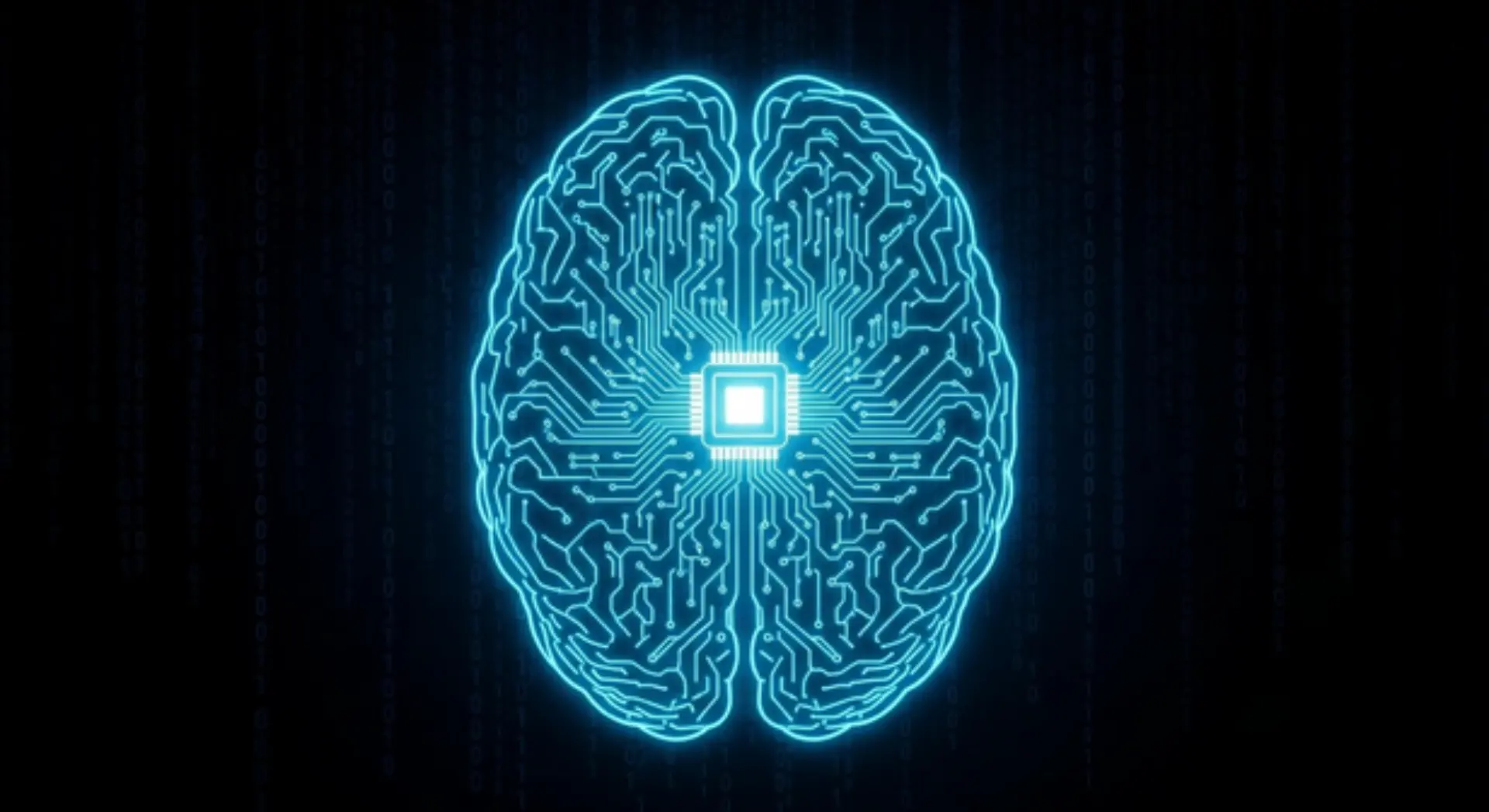 human_brain